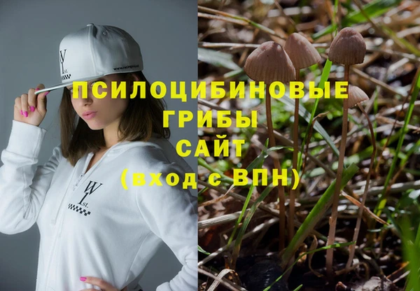 прущие крисы Алзамай